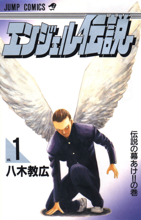 ANGEL DENSETSU FR Cover Image