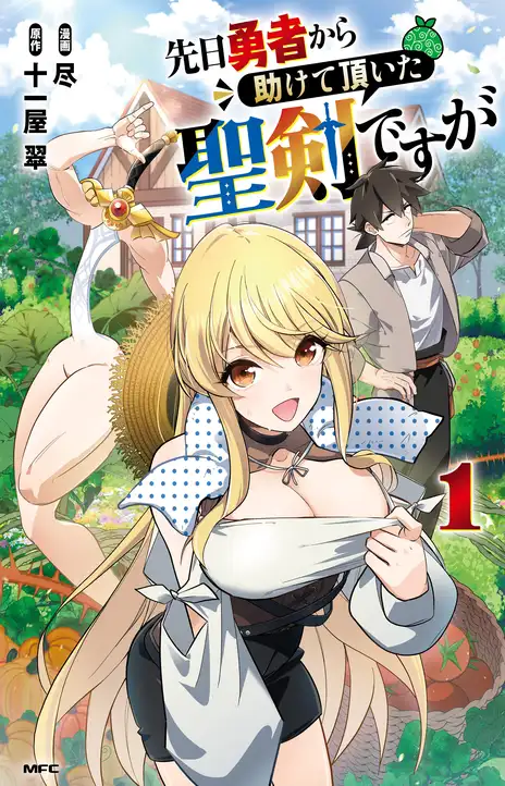 The Holy Sword That Was Helped by a Hero the Other Day EN Cover Image